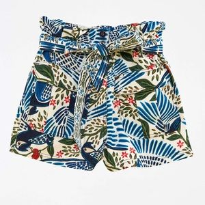 Off White Macaw Flight Shorts